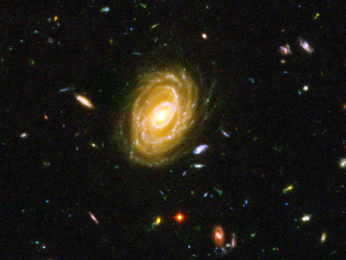 Hubble Ultra Deep Field Detail NASA